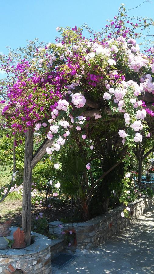 Maniatis Garden Aparthotel Achladies  Exterior photo