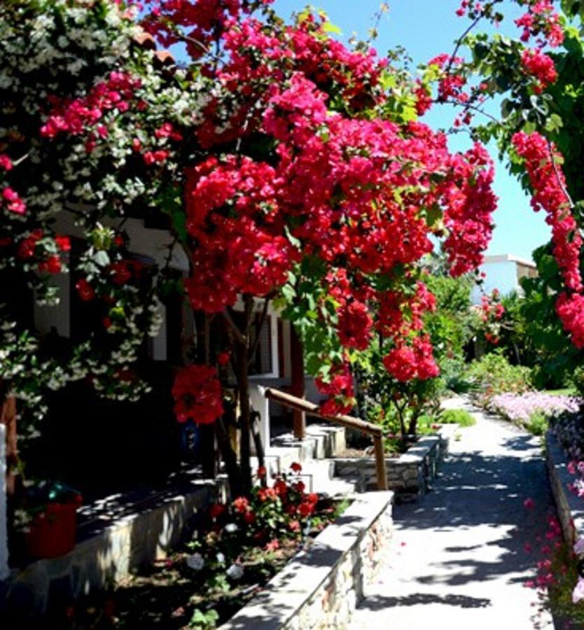 Maniatis Garden Aparthotel Achladies  Exterior photo